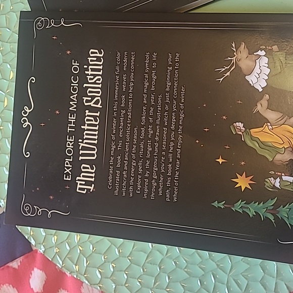 Set Of 2 Yule and Litha Solstice Books by Amy Cesari - Picture 2 of 7